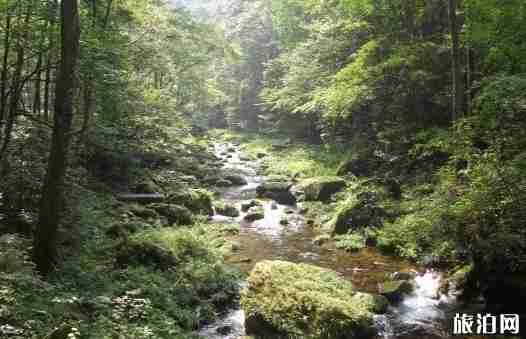 天门山半天够玩吗 天门山需要游玩时间是多久 天门山半天够玩吗 天门山需要游玩时间是多久