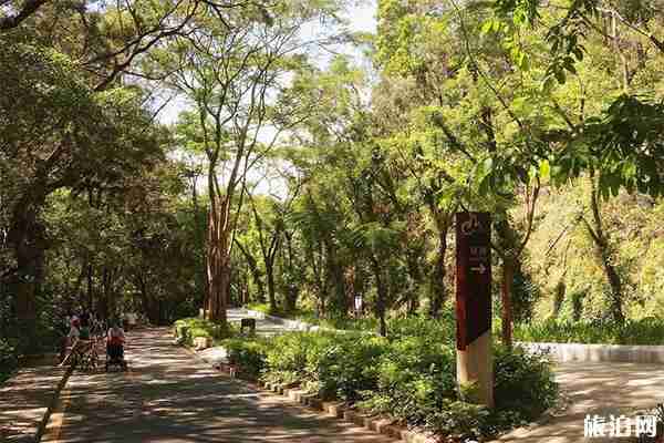 深圳东湖公园可以钓鱼吗 附菊花展交通管制