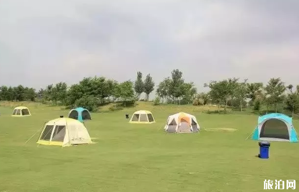 银川周边有哪些景点游玩