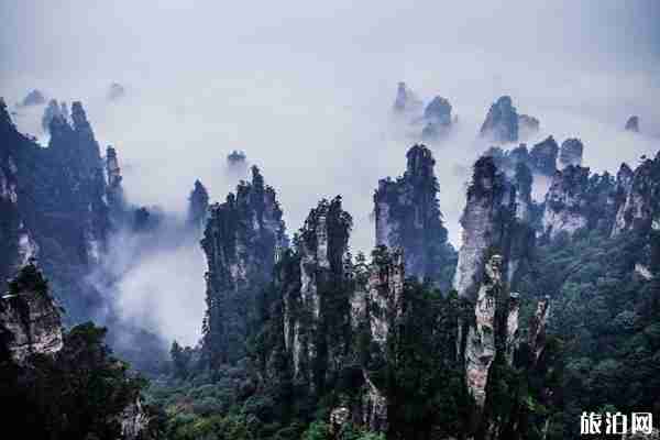 张家界最佳游玩时间+游玩天数+景点推荐