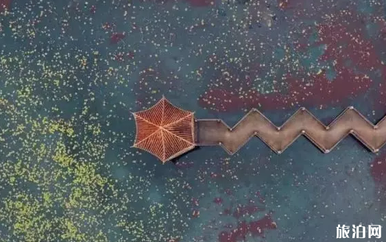 云南的滇西有哪些景点