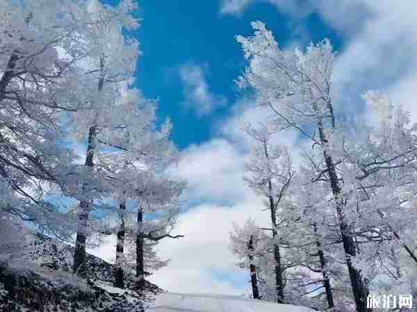 阿尔山风景区图片 阿尔山风景区照片欣赏 阿尔山风景区图片 阿尔山风景区照片欣赏
