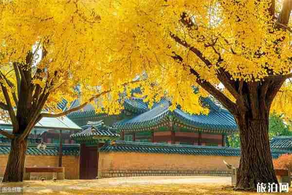 青城山都江堰景区免费开放日门票怎么预约领取