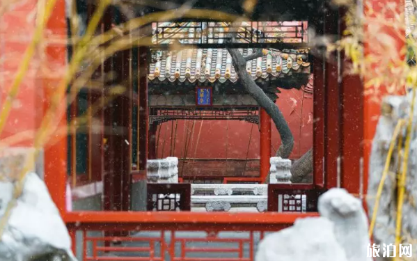 国内冬天旅游推荐地  2019年冬天应该去哪里旅游呢