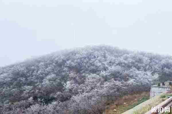 2019-2020浙江下雪了吗 浙江哪里看雪比较好