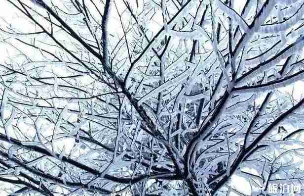 浙江适合看雪的地方推荐
