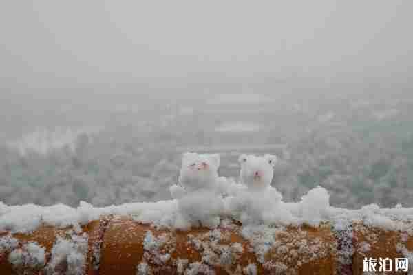 2019年12月16日北京下雪公园赏雪景指南 2019年12月16日北京下雪公园赏雪景指南