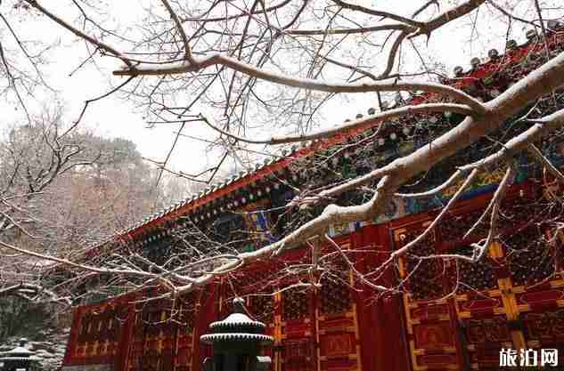 2019年12月16日北京下雪公园赏雪景指南 2019年12月16日北京下雪公园赏雪景指南