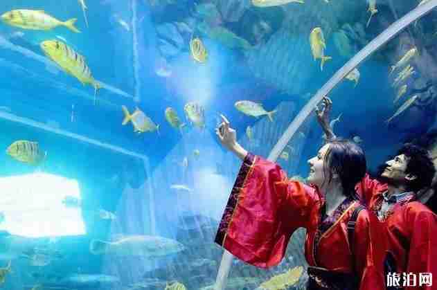 2019西安华夏文旅海洋公园圣诞嘉年华活动时间+地点 2019西安华夏文旅海洋公园圣诞嘉年华活动时间+地点