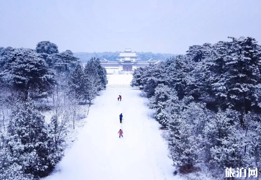 2020年元旦旅行地推荐 元旦应该去哪里旅游呢