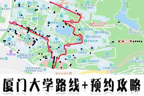 2020厦门大学路线攻略及预约攻略