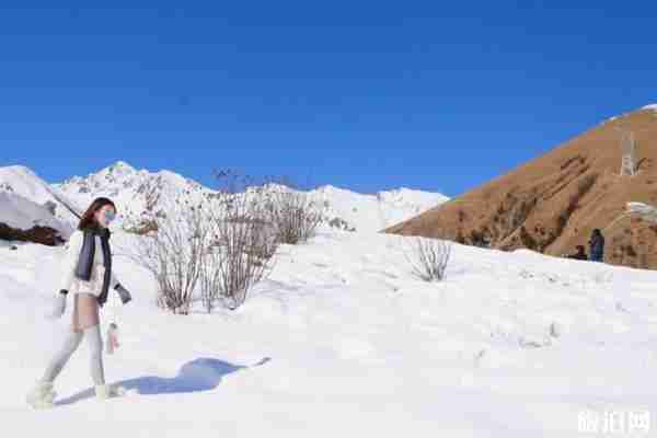 成都鹧鸪山跟团多少钱 成都到鹧鸪山旅游攻略 成都鹧鸪山跟团多少钱 成都到鹧鸪山旅游攻略