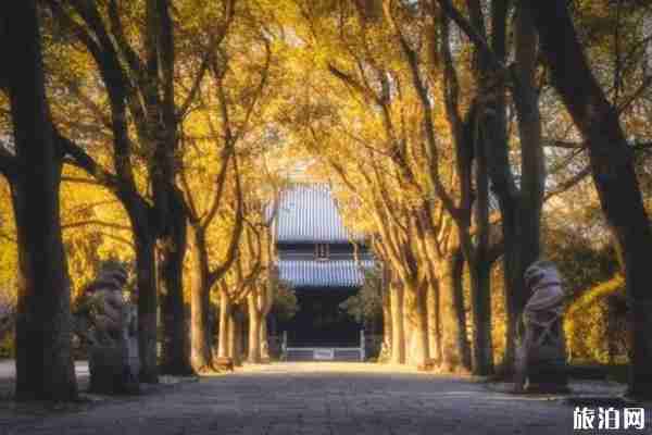 2020杭州腊八节寺庙施粥时间+领取地点