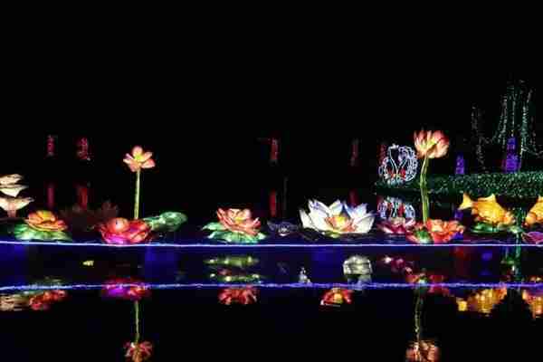 2020年菏泽梦幻灯光节在哪里举办 举办时间+门票+活动亮点
