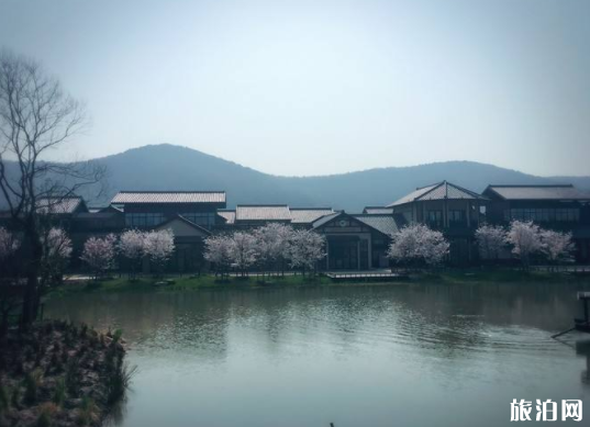 2020春节无锡景区交通管制路段 鼋头渚-灵山-拈花湾景区 2020春节无锡景区交通管制路段 鼋头渚-灵山-拈花湾景区