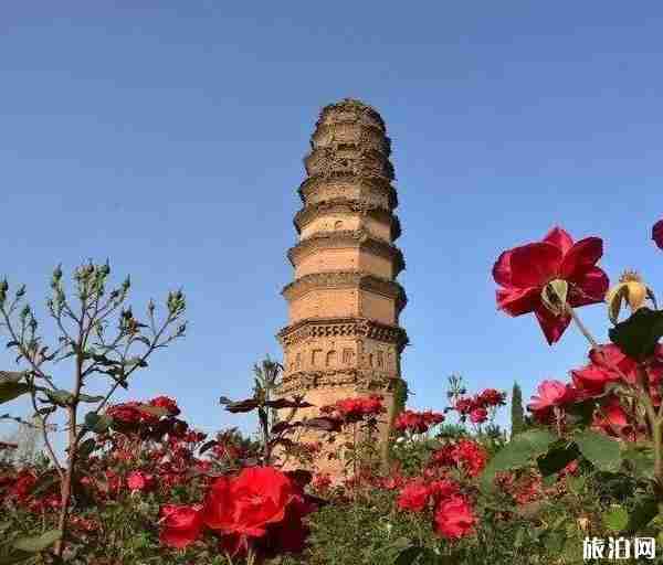 洛阳五花寺塔怎么样-好玩吗 洛阳五花寺塔怎么样-好玩吗