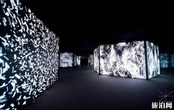 2020成都春节有哪些地方免费的博物馆和艺术展