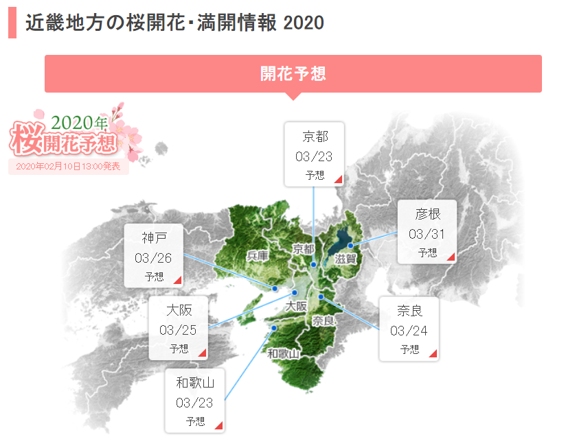 日本樱花预测网站有哪些 2020日本樱花花期 日本樱花预测网站有哪些 2020日本樱花花期