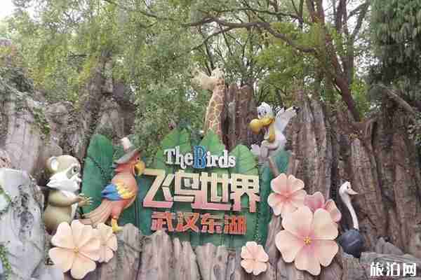 武汉东湖飞鸟世界对全体医护人员免费开放