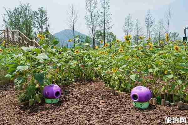 无锡植物大战僵尸农场门票多少钱