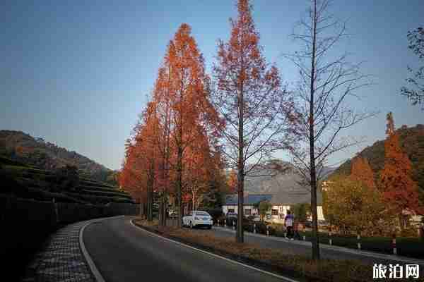 杭州登山徒步经典路线推荐 杭州登山徒步经典路线推荐