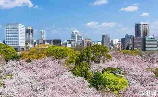 2020年日本各地樱花季预报表 2020年日本各地樱花季预报表