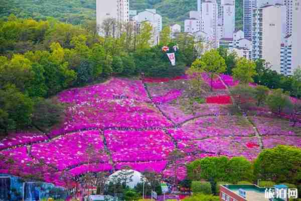 2020韩国京畿道活动汇总-时间地点交通
