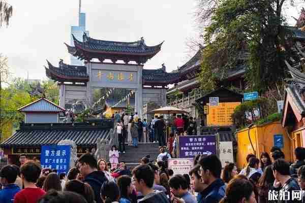 2020鸡鸣寺樱花开放时间是几月份 2020鸡鸣寺樱花开放时间是几月份
