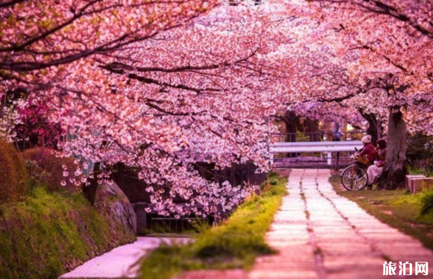 广东春天赏花景点及花期 广东春天赏花景点及花期
