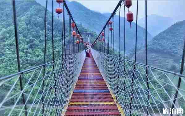 香榧古道徒步攻略
