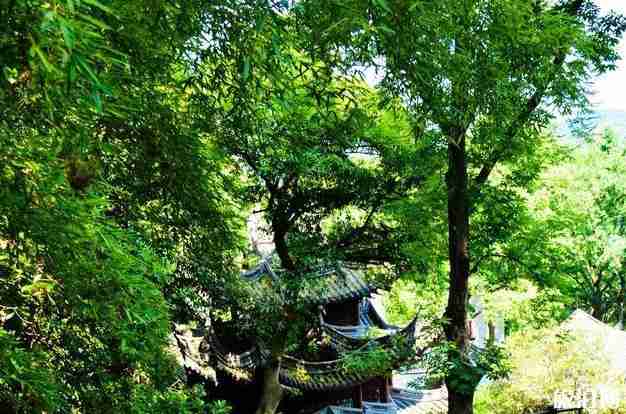 永福寺和韬光寺求签灵验吗 永福寺和韬光寺求签灵验吗