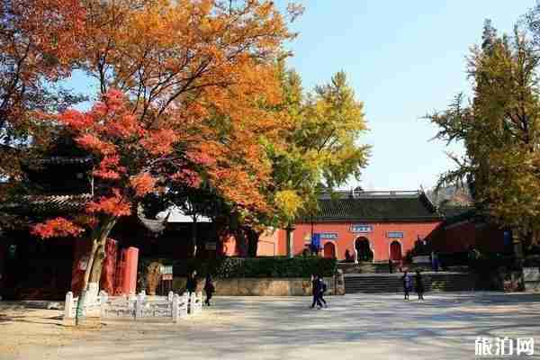 南京栖霞寺门票多少钱 2020南京栖霞古寺要门票吗 南京栖霞寺门票多少钱 2020南京栖霞古寺要门票吗