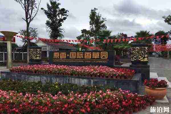 绵阳原香国际香草园有什么玩的 附2020年开放时间