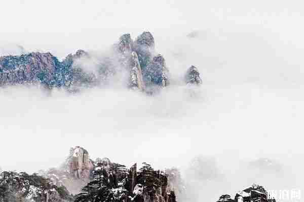 黄山北旅游客运中心什么时候恢复 附发车班次