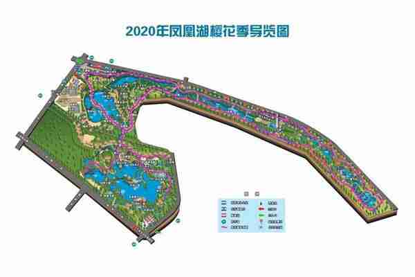成都凤凰湖樱花观赏 收费吗-预约入园