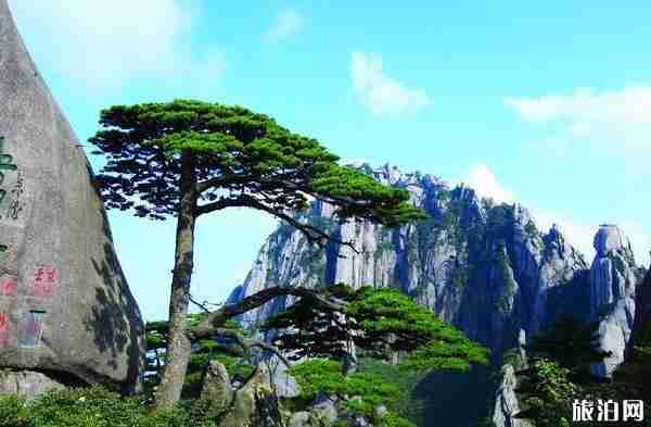 中国排名前十名的大山有哪些