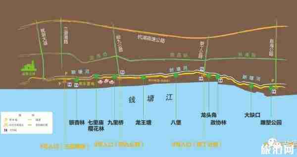 2020盐官百里钱塘樱花攻略