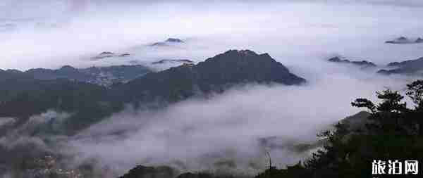 2020年中国佛教四大名山全部恢复对外开放 2020年中国佛教四大名山全部恢复对外开放
