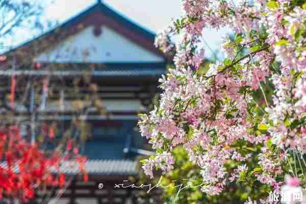 2020西安旅游景点免费预约参观指南