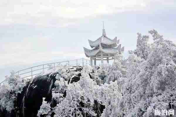 2020德化九仙山景区门票预约-优惠政策