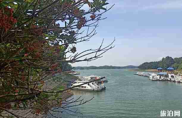 南湾湖风景区游玩攻略