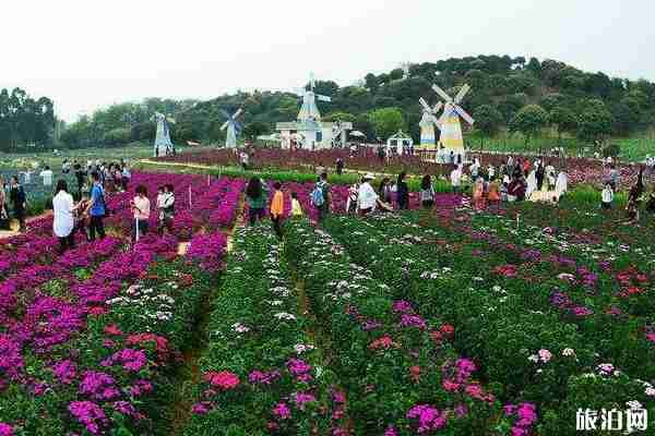 东莞植物园怎么去(地铁 公交 导游图) 东莞植物园怎么去(地铁 公交 导游图)