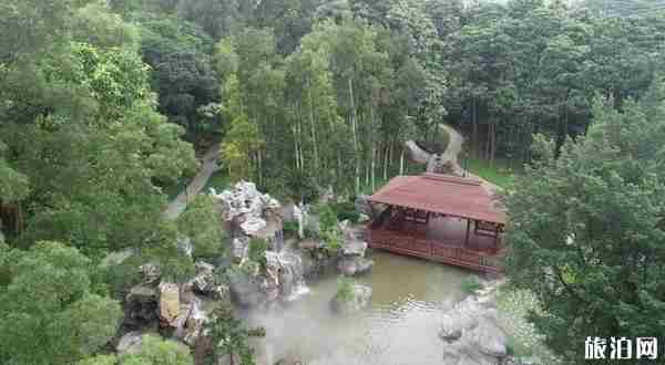 东莞植物园景点介绍 东莞植物园有什么好玩的 东莞植物园景点介绍 东莞植物园有什么好玩的