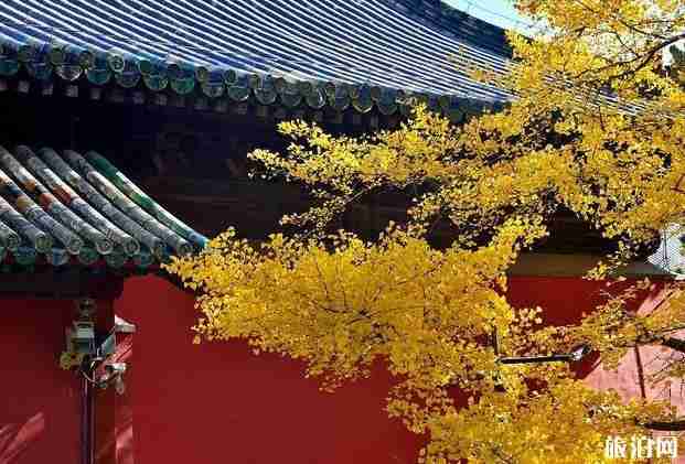 北京大觉寺开门了吗 2020北京大觉寺开放时间 北京大觉寺开门了吗 2020北京大觉寺开放时间
