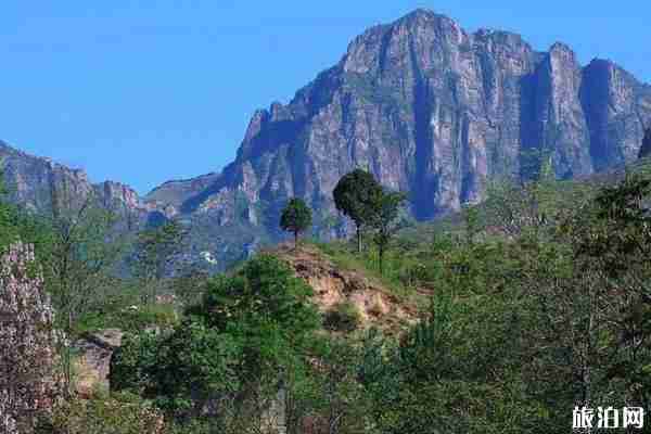 大茂山景区开放了吗 2020大茂山景区开放时间 大茂山景区开放了吗 2020大茂山景区开放时间