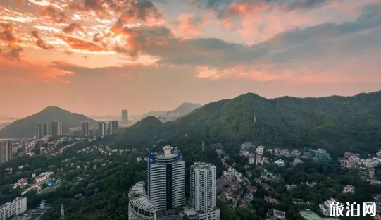 深圳市南山区哪里好玩 南山区好玩的免费景点