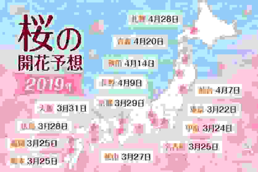 日本樱花哪里最好看 2019日本樱花开放时间表+赏樱推荐地