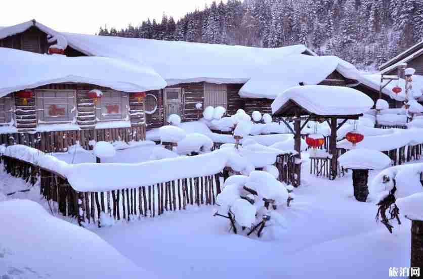 从哈尔滨怎么去雪乡 哈尔滨去雪乡坐什么车方便