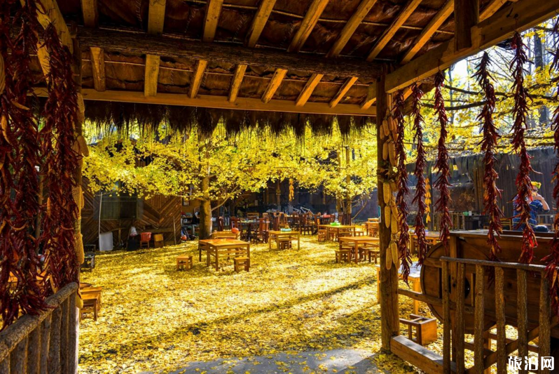 云南旅游必去的景点 云南哪里有好玩的景点
