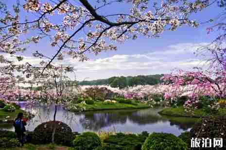 东湖樱花园坐什么车 东湖磨山樱花园2019时间+地点+票价+交通 东湖樱花园坐什么车 东湖磨山樱花园2019时间+地点+票价+交通
